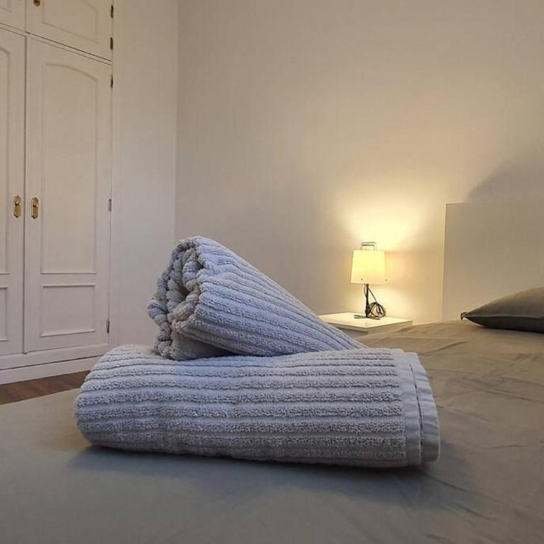 Gran piso en zona comercial Malaga - Apartamento - 21