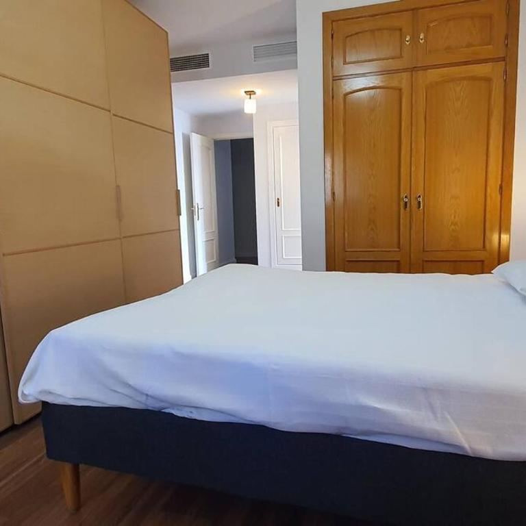 Gran piso en zona comercial Malaga - Apartamento - 23