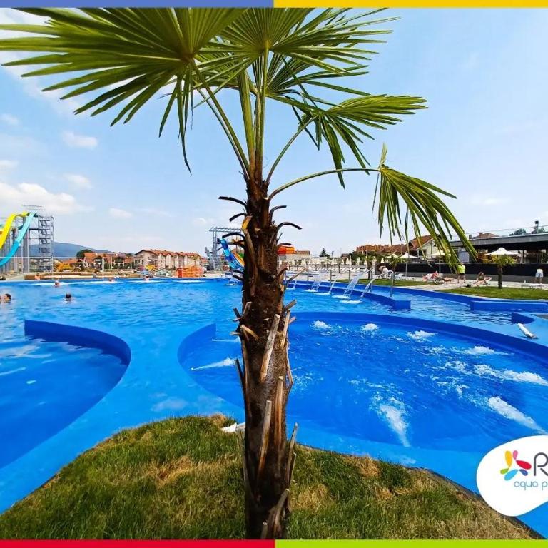 Apartman Andjela - Studio sa Terasom - 12