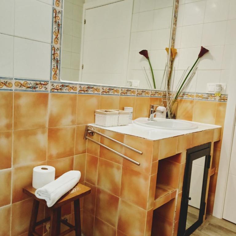 Mirador de Zocodover - Apartamento de 3 dormitorios - 44