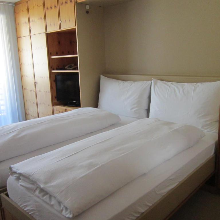 Studio im Hotel Des Alpes - Studio mit Balkon - 8