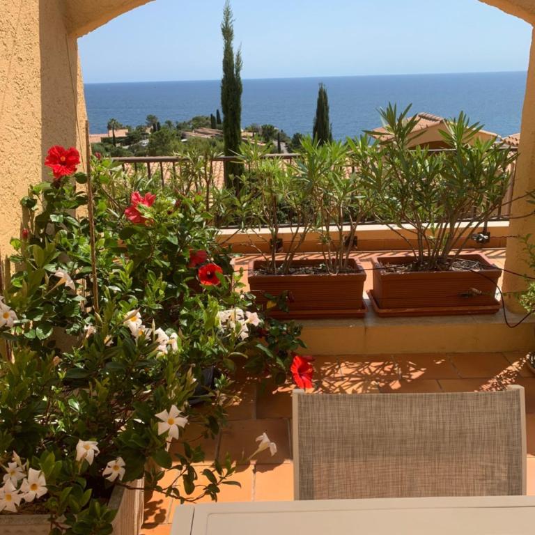 Appartamento vista mare - Appartement 2 Chambres - 15