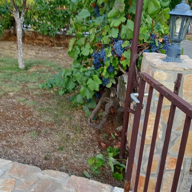 Villa Vinka - Apartment with Balcony - 14