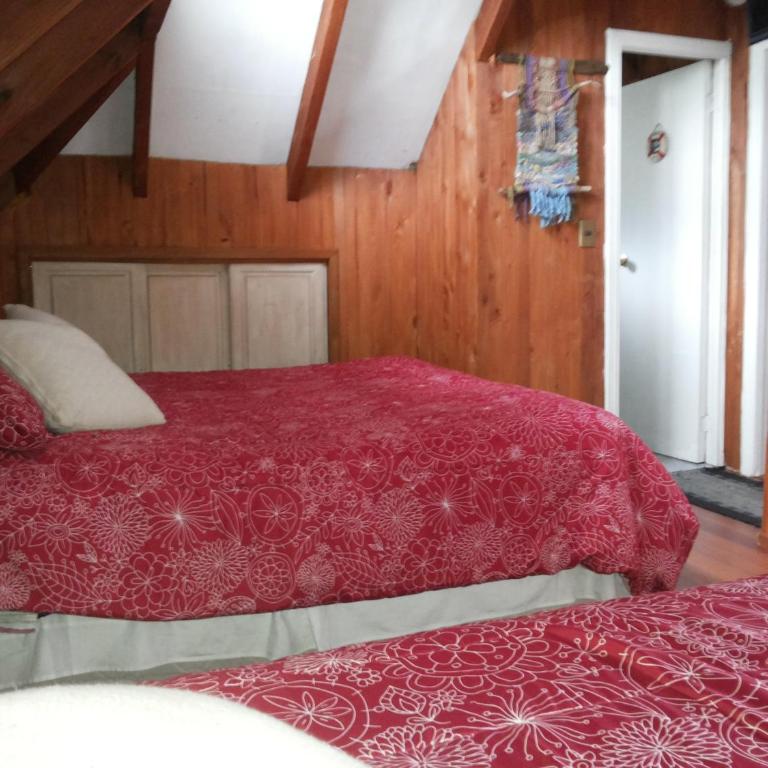 Cabaña Ruca Quimey - Bungalow de 3 dormitorios - 2