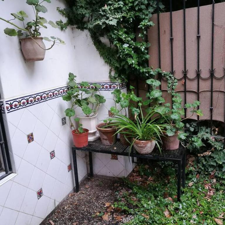 Casona La Oculta Mendoza - Casa de 4 dormitorios - 59