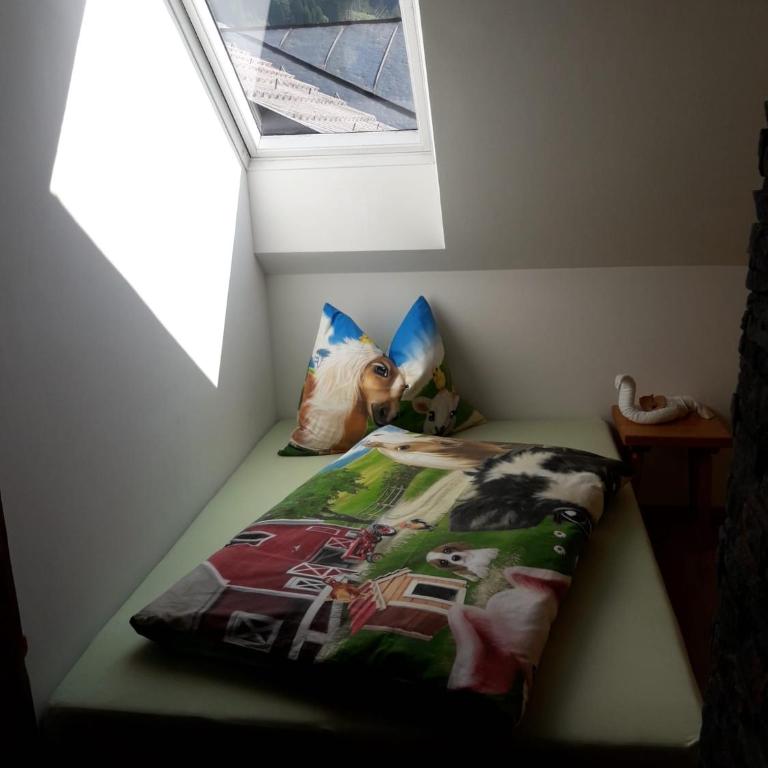 Ferienbauernhof Arnoldgut - Appartement 3 Chambres - 9