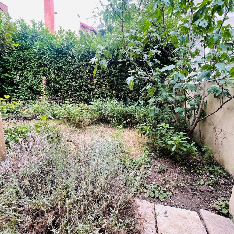 Le Jardin croix Roussien - Appartement - Vue sur Jardin - 7