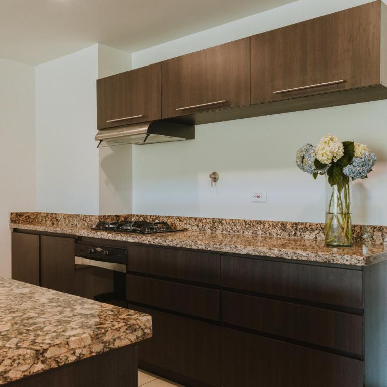 Travelers Rio Verde Living Suites - Suite Junior - 21