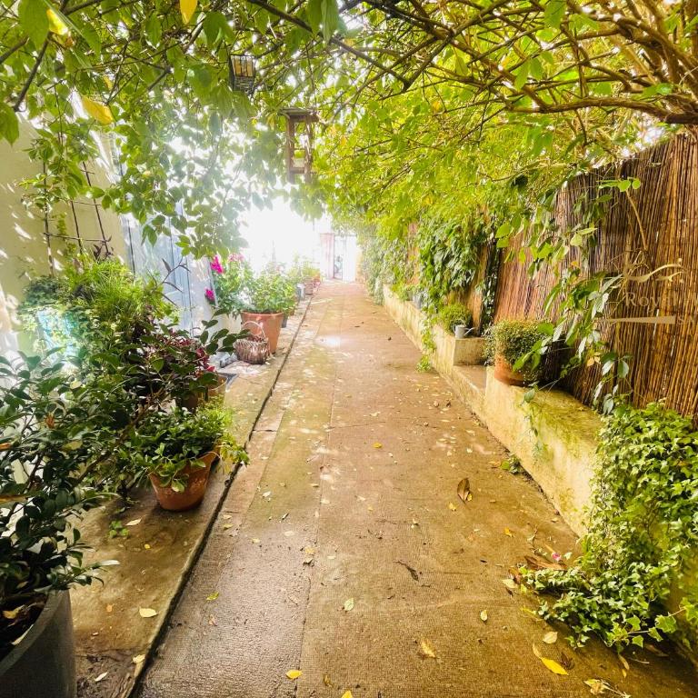 Le Jardin croix Roussien - Appartement - Vue sur Jardin - 30