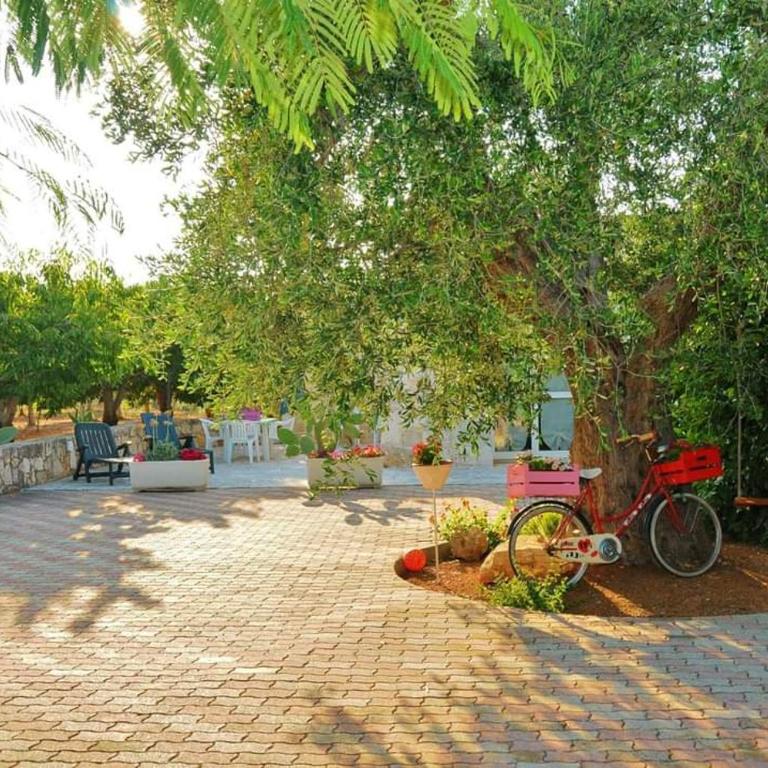 Trulli Cicerone - Casa Vacanze - 6