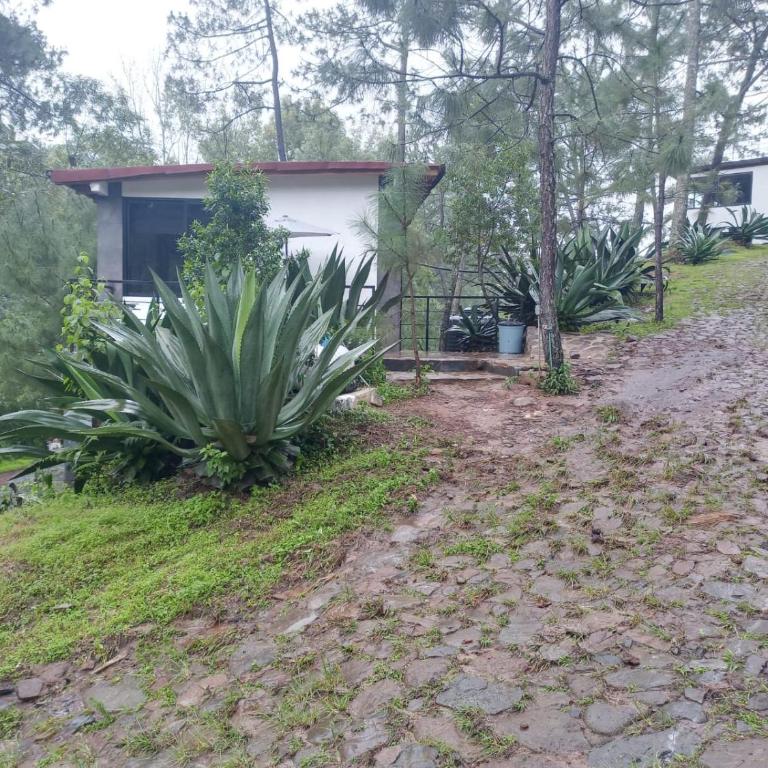 Mazamitla Pinos del Rio - Habitación Doble Deluxe (2 adultos + 1 niño) - 3