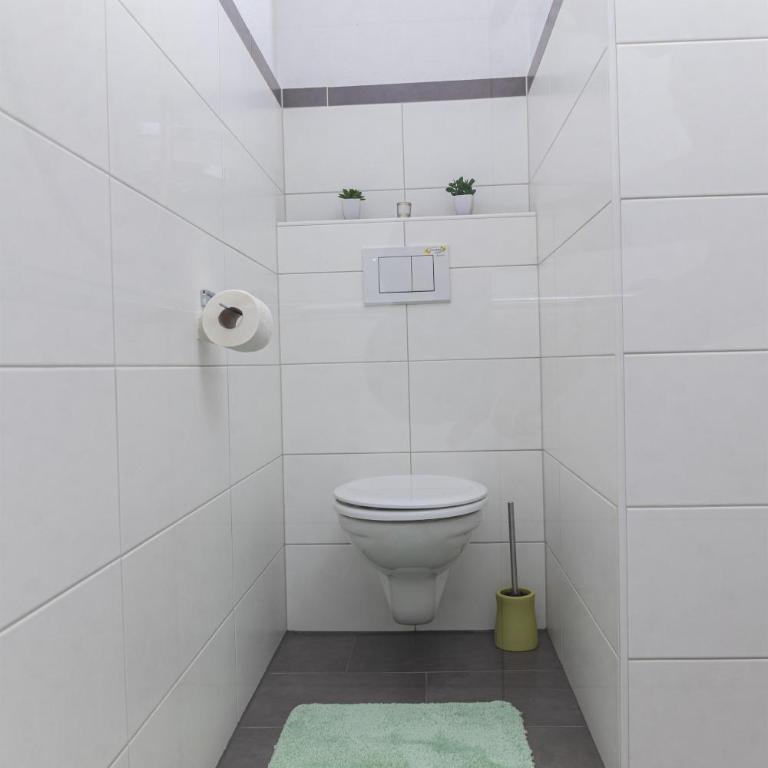 Ferienwohnungen Hinterstein - Apartment mit 1 Schlafzimmer und Dusche - 14