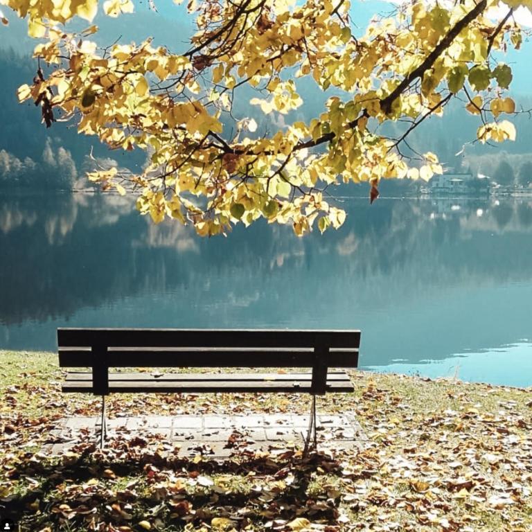 Relax e natura vicino a Trento - Apartment mit 2 Schlafzimmern - 4