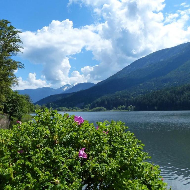 Relax e natura vicino a Trento - Apartment mit 2 Schlafzimmern - 6