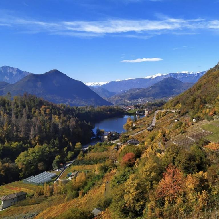 Relax e natura vicino a Trento - Apartment mit 2 Schlafzimmern - 5
