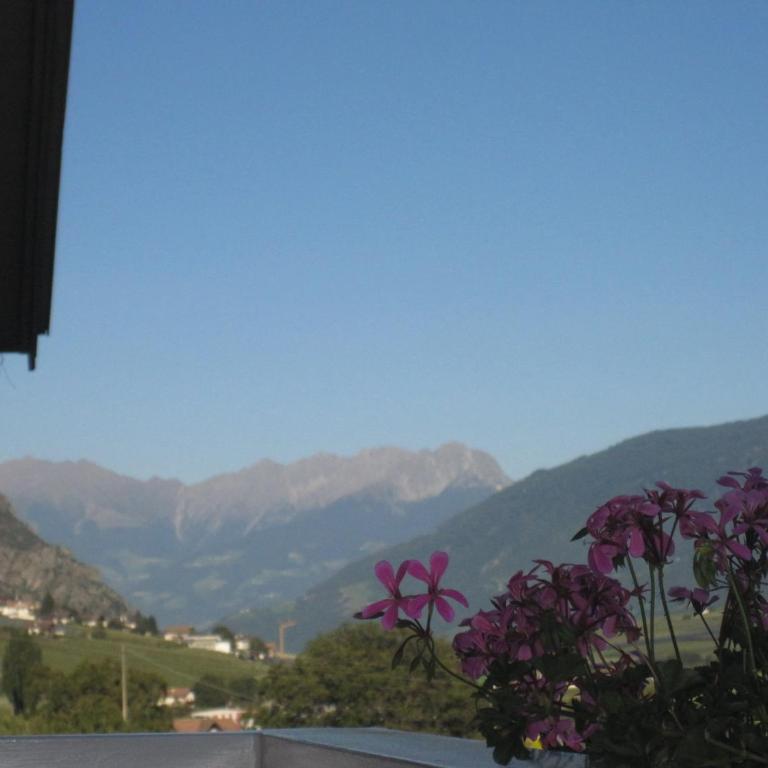 Villa Malus - Appartamento - 4
