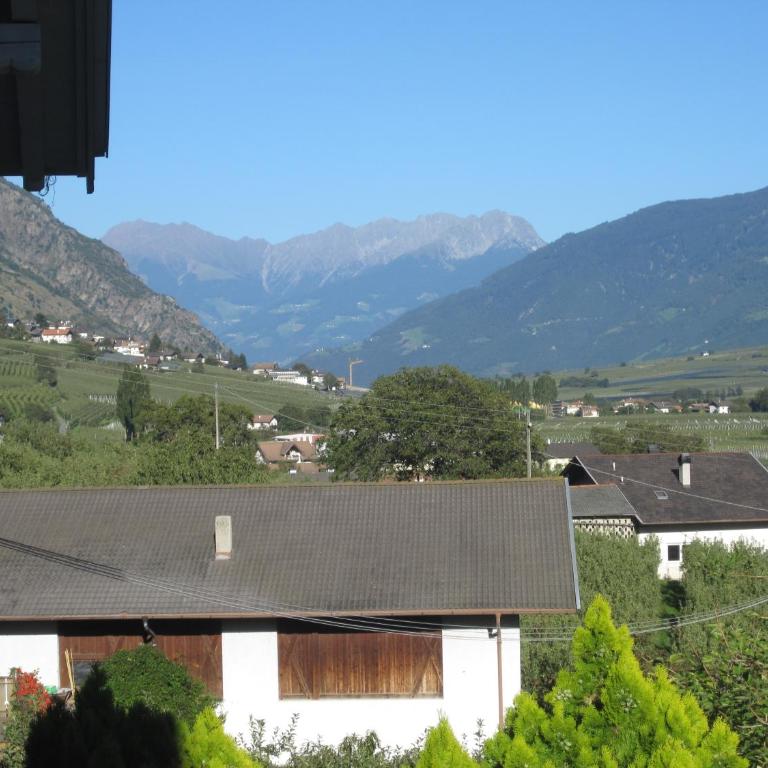 Villa Malus - Appartamento - 5