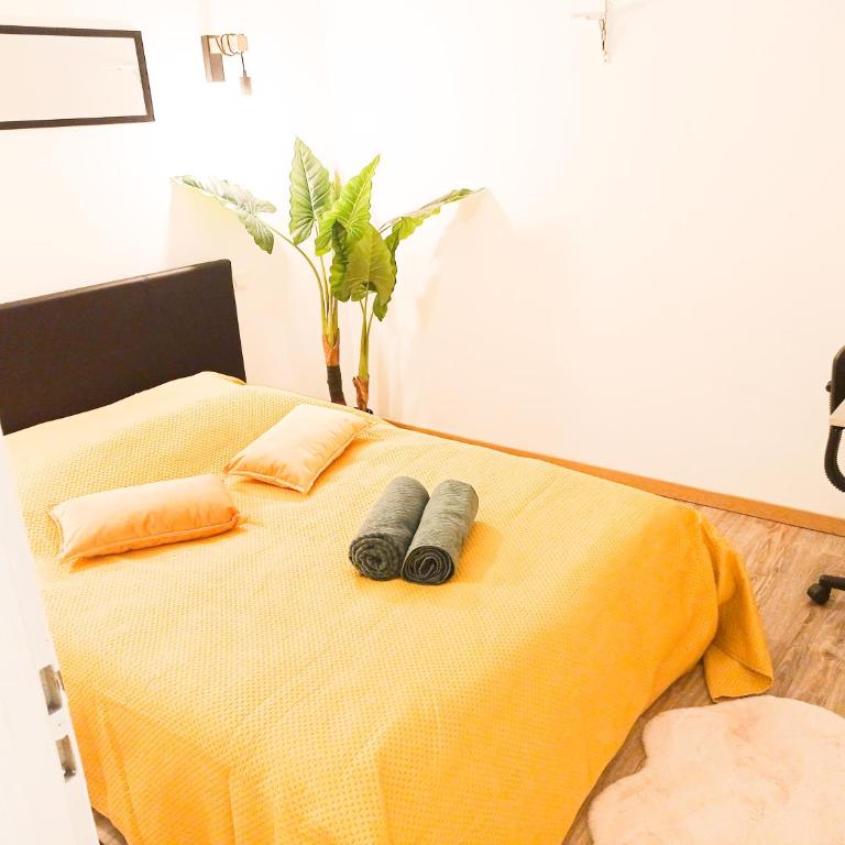 L'étoile pétillante - Appartement 3 Chambres - 2