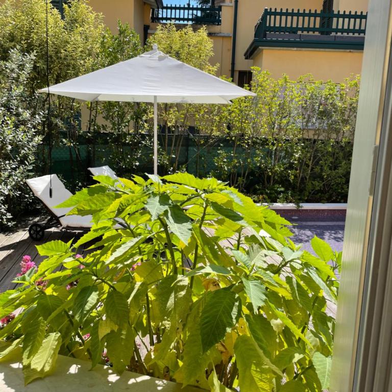 Villa Arzilla - Appartamento Deluxe - 19