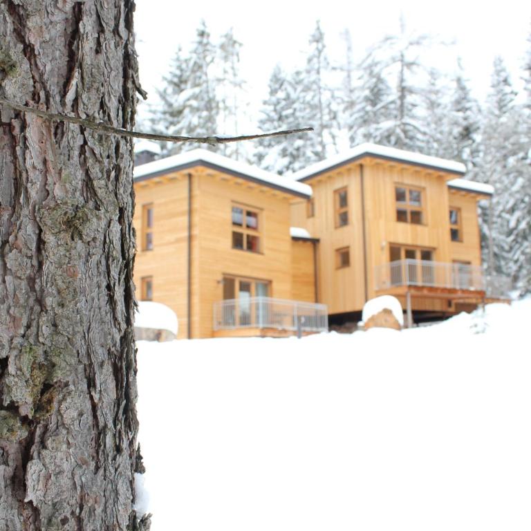 Forest Chalet Resort FELIZITAS - Chalet con 1 Camera da Letto - 18
