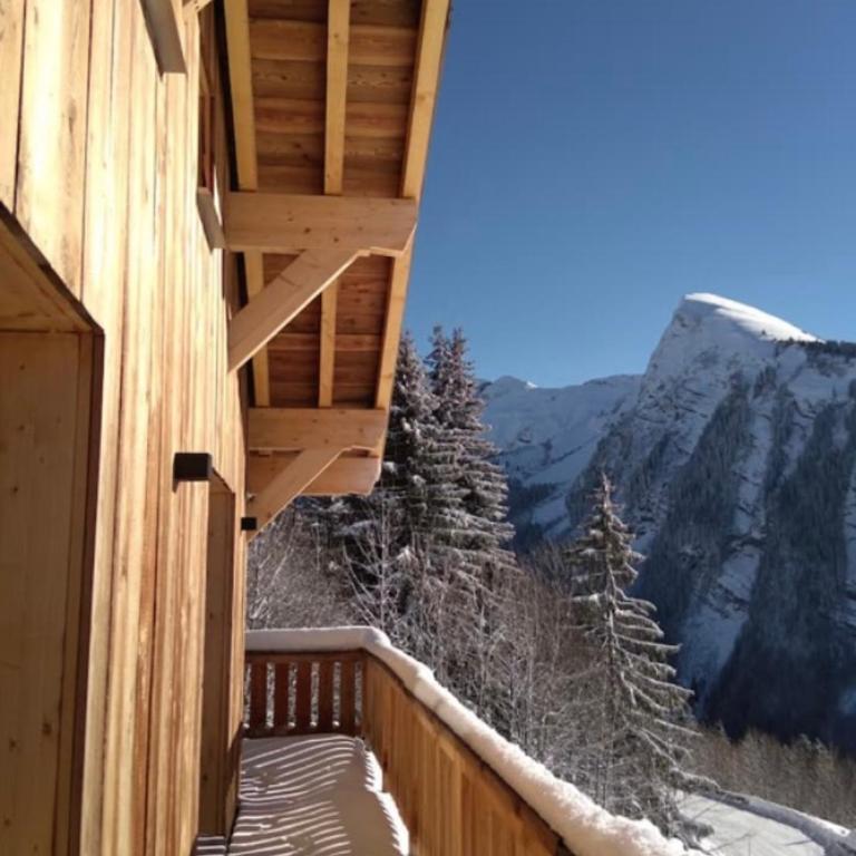 Chalet avec jacuzzi - 150 m des remontées - Chalet - 35