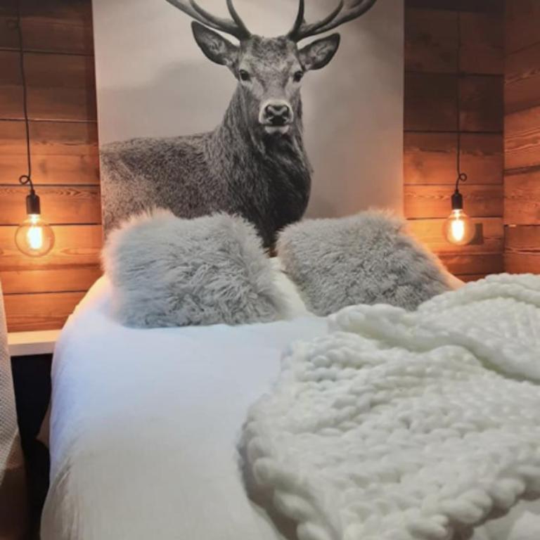Chalet avec jacuzzi - 150 m des remontées - Chalet - 20
