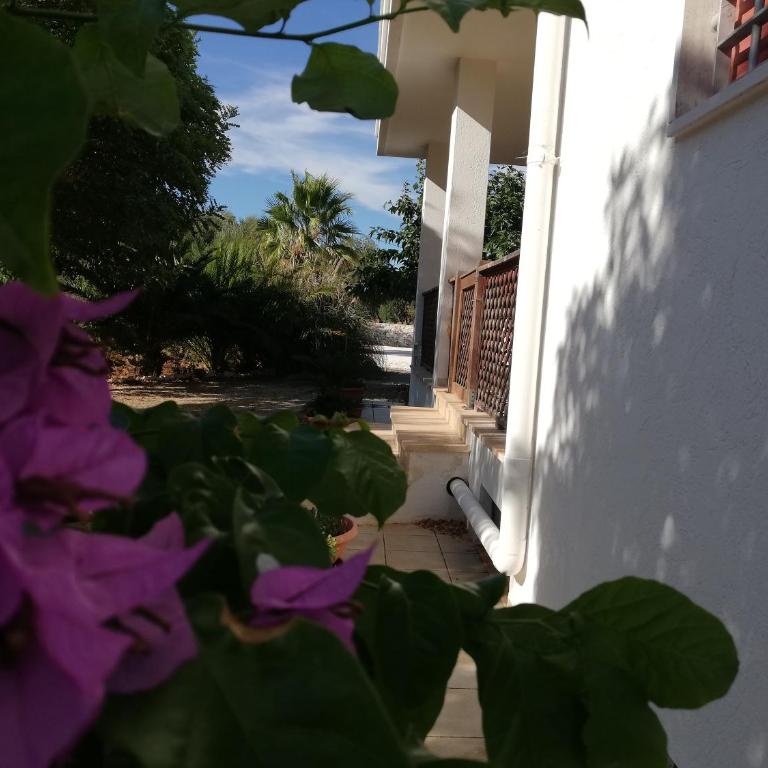 Case Vacanza Villa Bianca - Casa Vacanze - 32