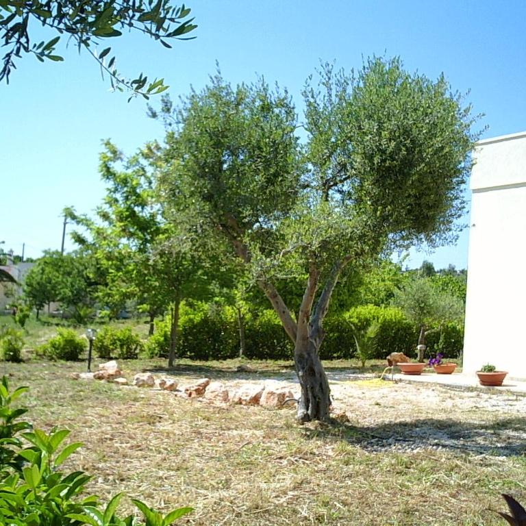 Case Vacanza Villa Bianca - Casa Vacanze - 33