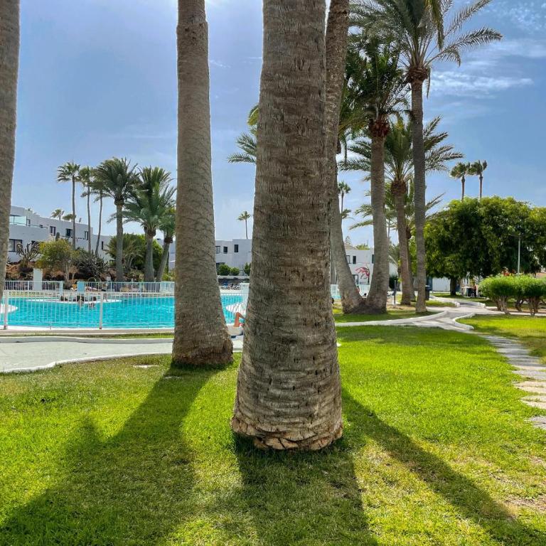 Los Barqueros 1 by Best Holidays Fuerteventura - Apartamento de 2 dormitorios - 57