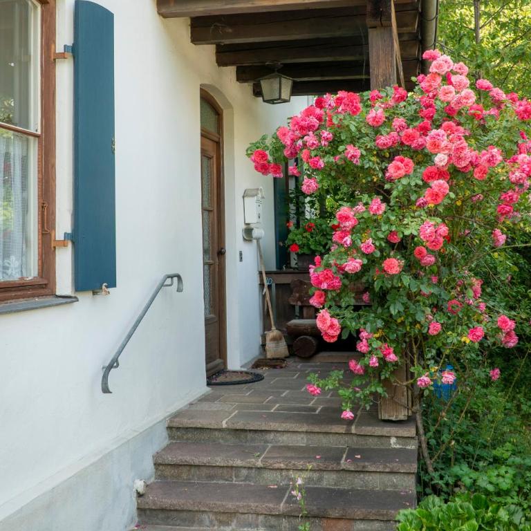 Landhauswohnung mit wildromantischem Garten - Apartment mit 2 Schlafzimmern - 3