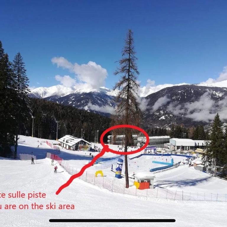 RESIDENCE ARTUICK AP.556 DIRETTAMENTE SULLE PISTE - Apartment mit 2 Schlafzimmern - 3