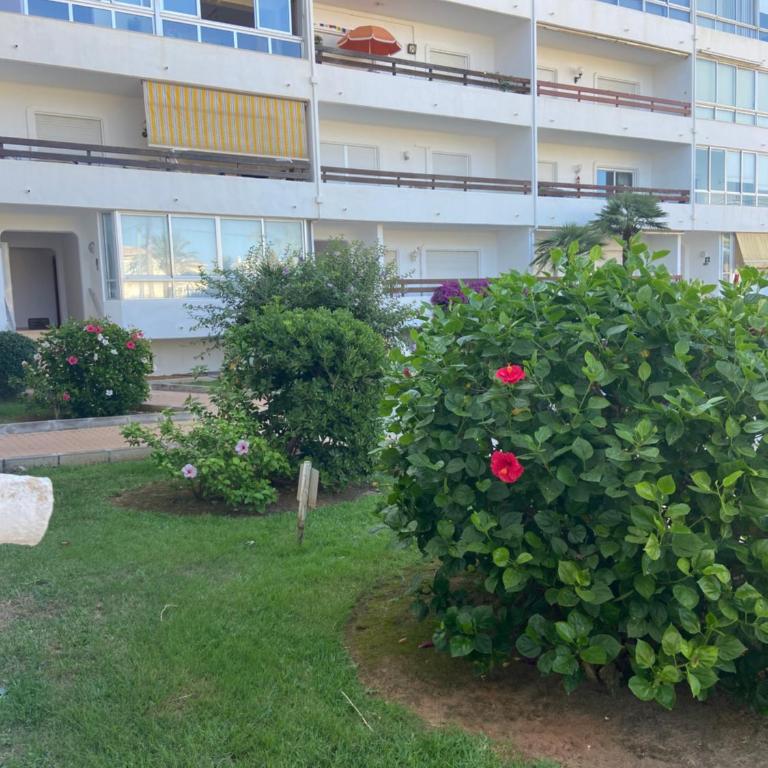 Vistas al mar playa de los Bovetes Denia - Apartamento de 2 dormitorios - 8