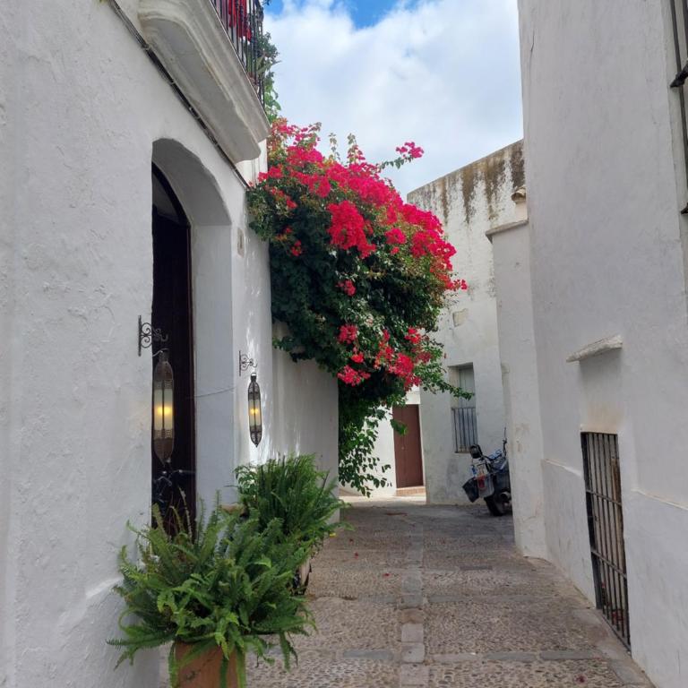 Pura Vida Vejer - Apartamento de 1 dormitorio - 19