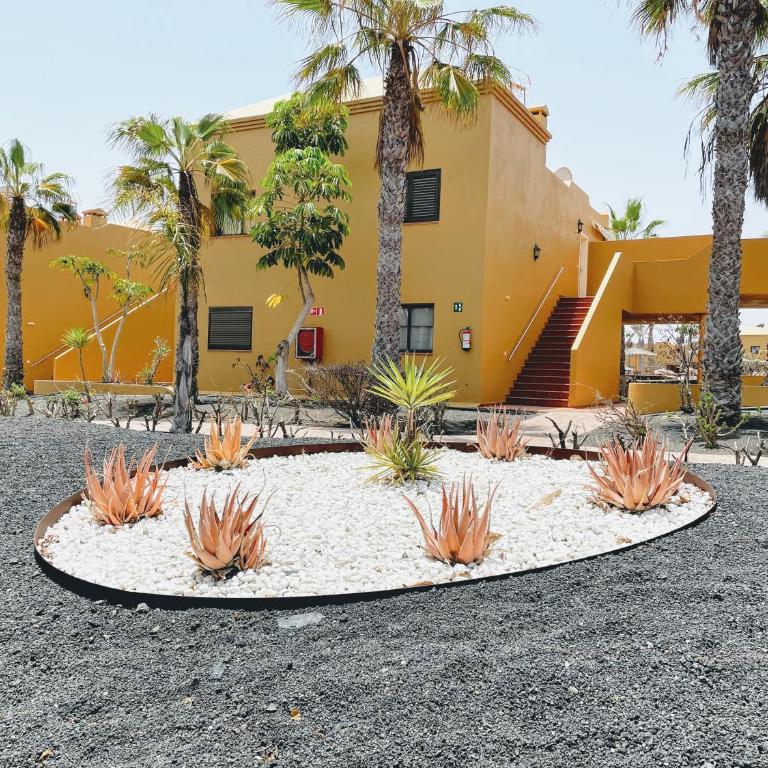 Casa Relax Papagayo Corralejo iRent Fuerteventura - Apartamento de 1 dormitorio - 23