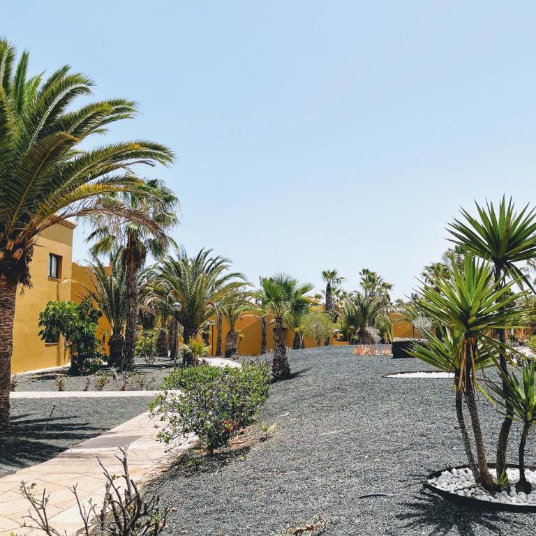 Casa Relax Papagayo Corralejo iRent Fuerteventura - Apartamento de 1 dormitorio - 24