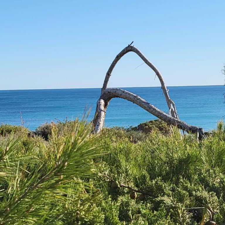 Apartamento Carlos , Lomas de Cabo Roig area, Playa Golf II,2 bedroom,2 terraces,swimming pool - Apartamento de 2 dormitorios - 36