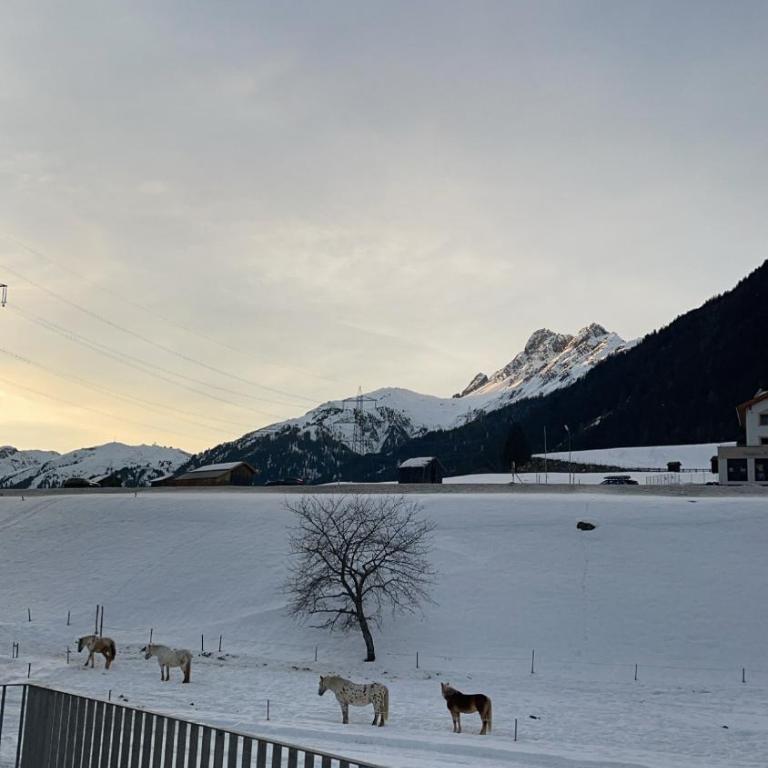 Arlberg Mountain Resort - Superior Apartment mit Sauna - 11