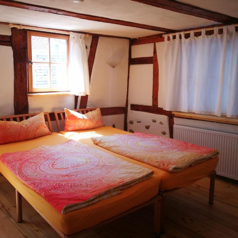 Bio-Ferienwohnung Ellensohn - Apartment mit 2 Schlafzimmern - 6