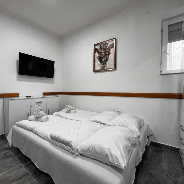Stan na dan Sebastijan - Apartman sa 1 Spavaćom Sobom - 2