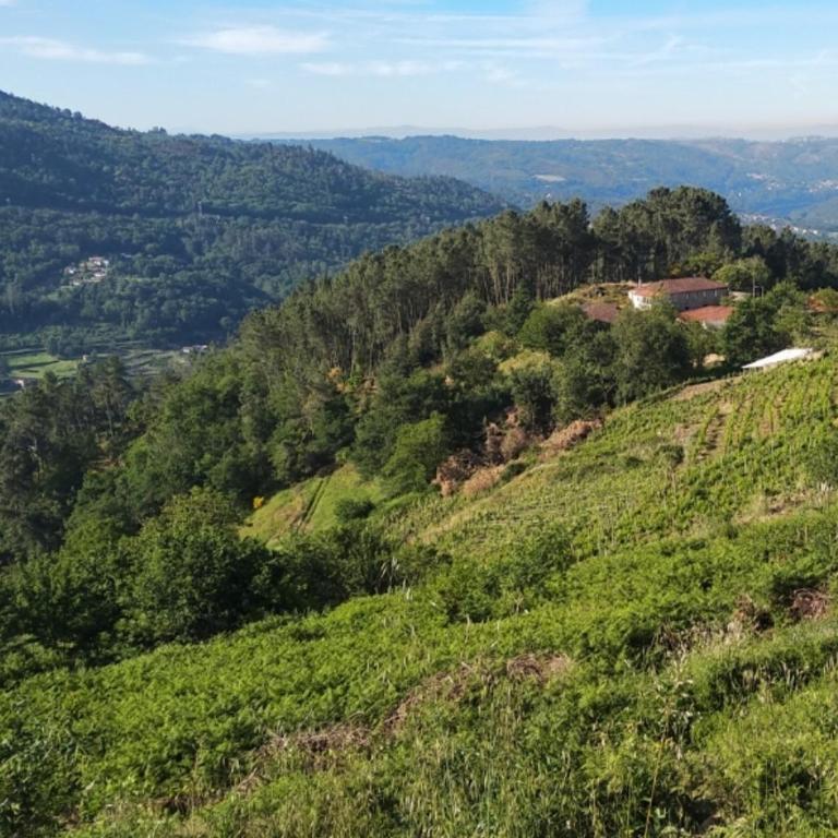 Casa do Cuco, Ribeira Sacra - Four-Bedroom House - 18