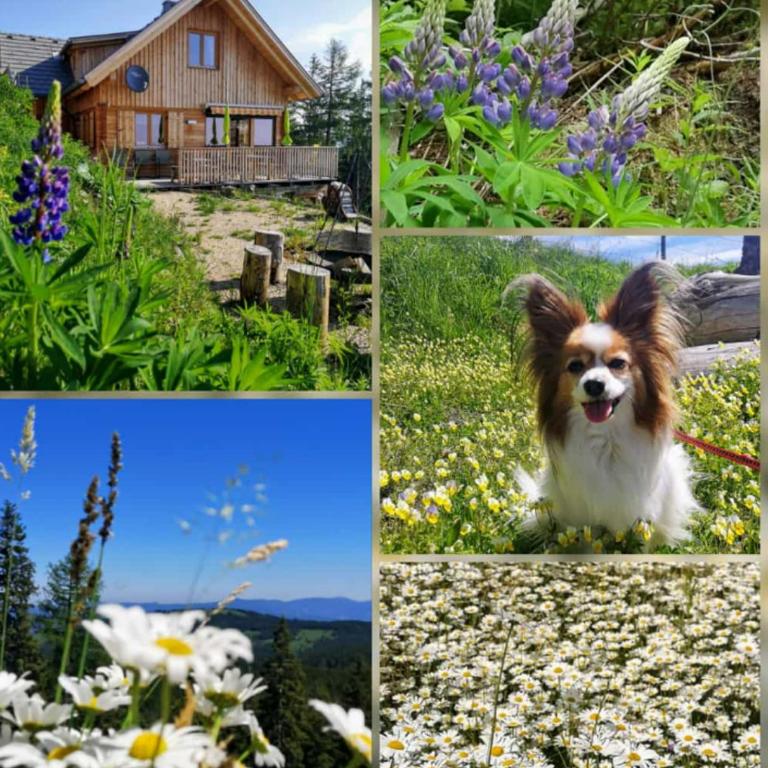 Chalet Die Berghexn - Haus mit 3 Schlafzimmern - 21