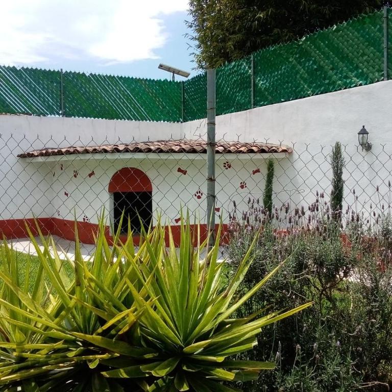 Casa Nicolás - Villa - 27