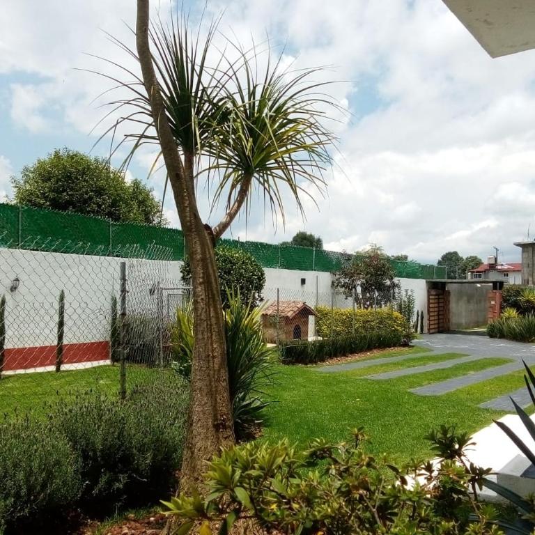 Casa Nicolás - Villa - 32