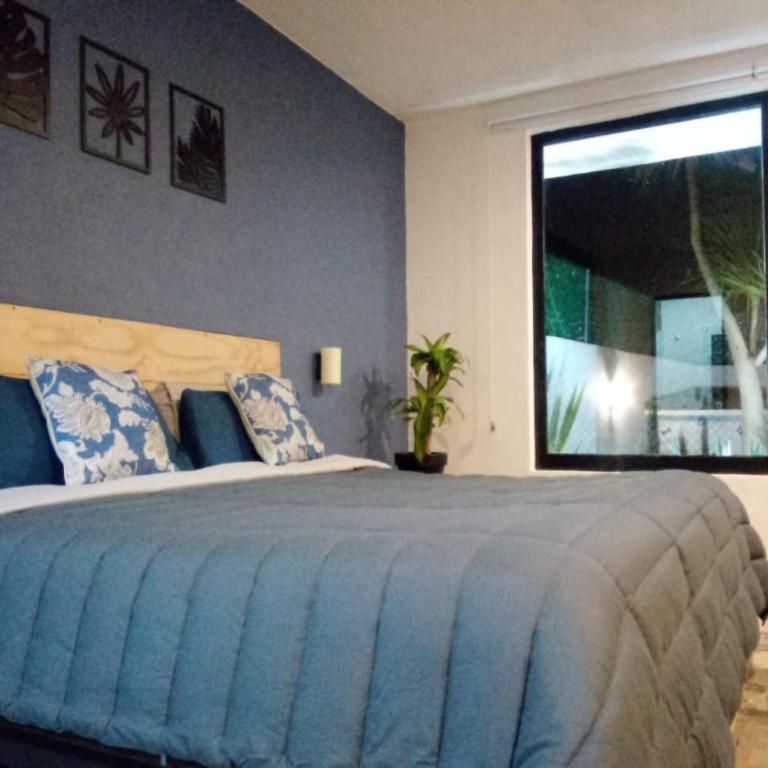 Casa Nicolás - Villa - 15