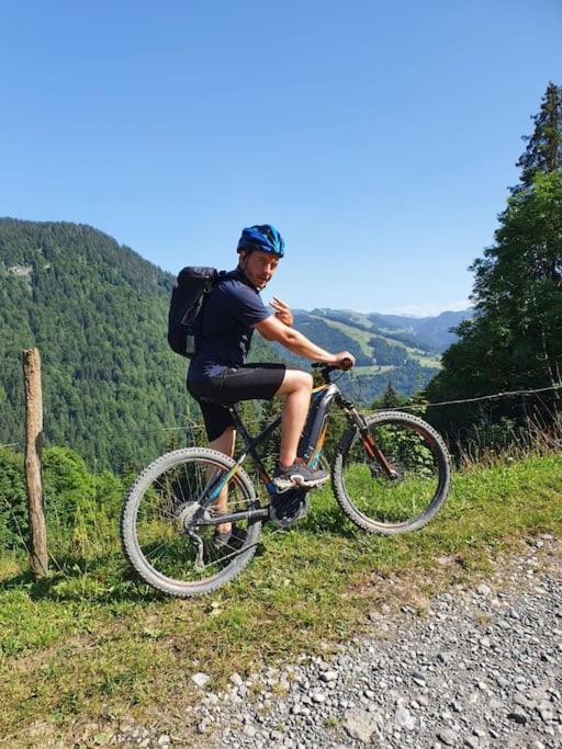 Appartement La Duchère Le Plan-la Giettaz massif des Aravis - Appartamento con 1 Camera da Letto - 37