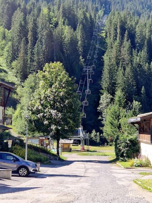Appartement La Duchère Le Plan-la Giettaz massif des Aravis - Appartamento con 1 Camera da Letto - 38