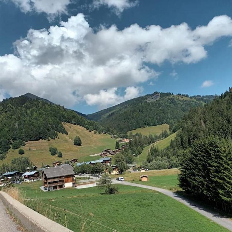 Appartement La Duchère Le Plan-la Giettaz massif des Aravis - Appartamento con 1 Camera da Letto - 34