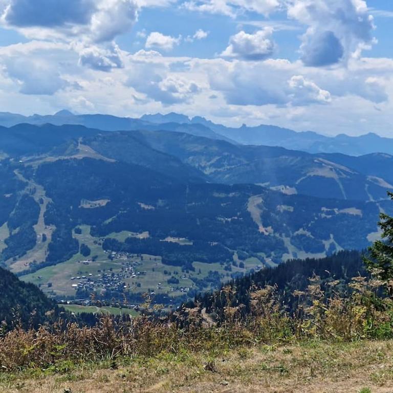 Appartement La Duchère Le Plan-la Giettaz massif des Aravis - Appartamento con 1 Camera da Letto - 33