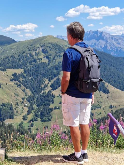 Appartement La Duchère Le Plan-la Giettaz massif des Aravis - Appartamento con 1 Camera da Letto - 31