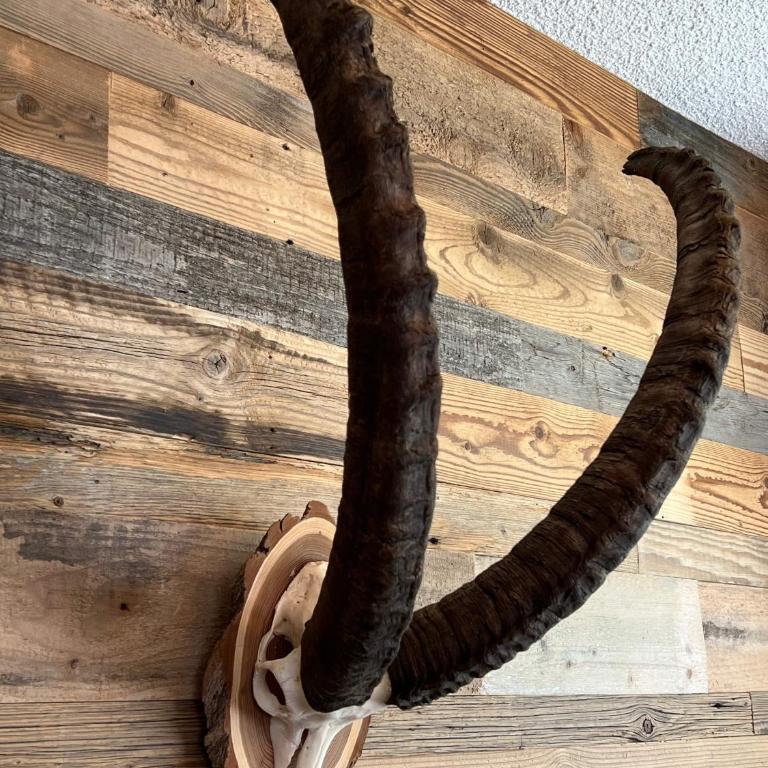 Casa Capricorn - Apartment mit 2 Schlafzimmern - 10